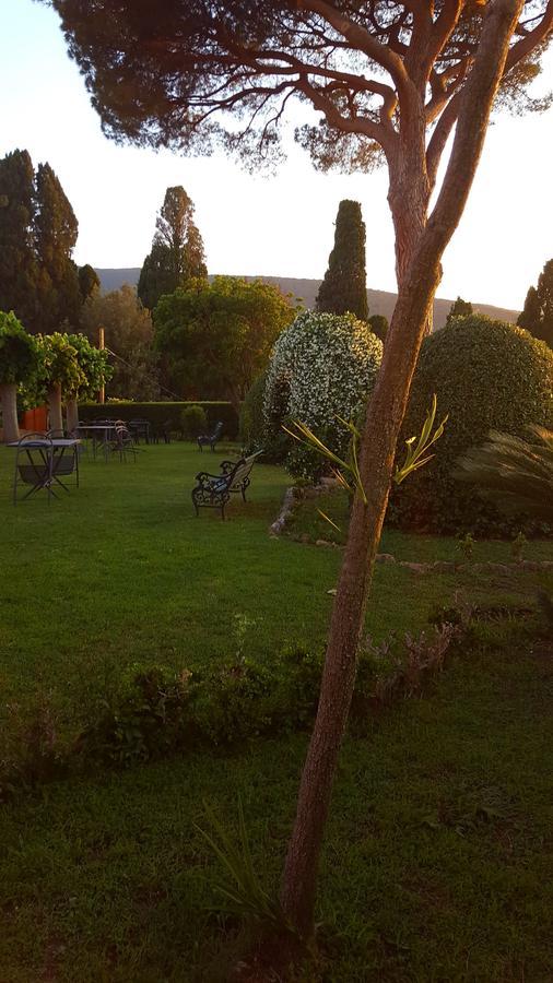 אלברזה Terre Regionali Toscane מראה חיצוני תמונה